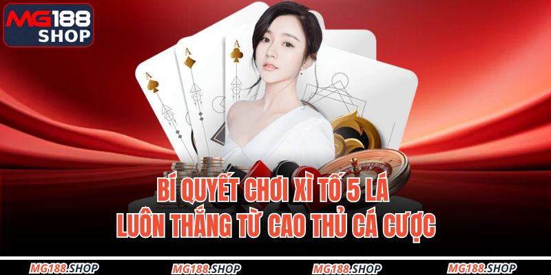 Xì Tố 5